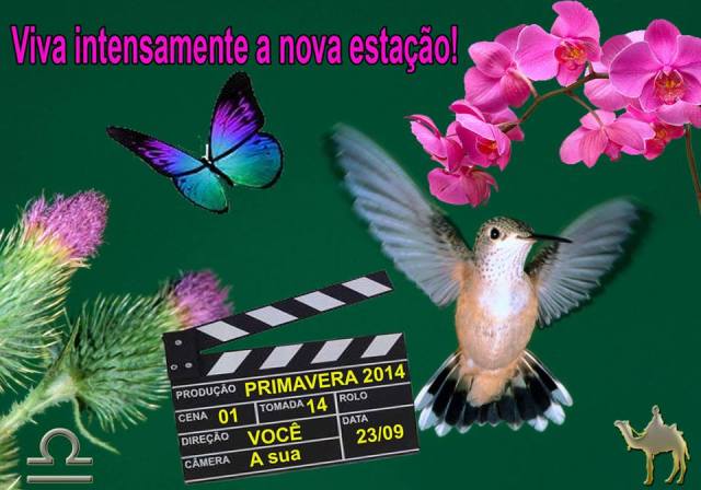 primavera2014_pedro_brasil_jr